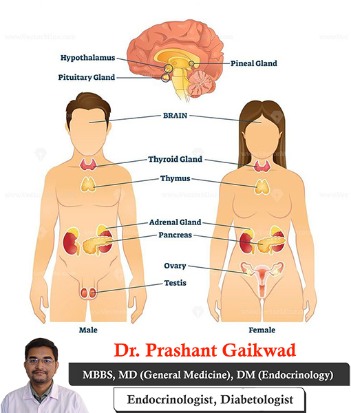 dr-prashant-gaikwad-management-of-endocrine-emergency-consultant